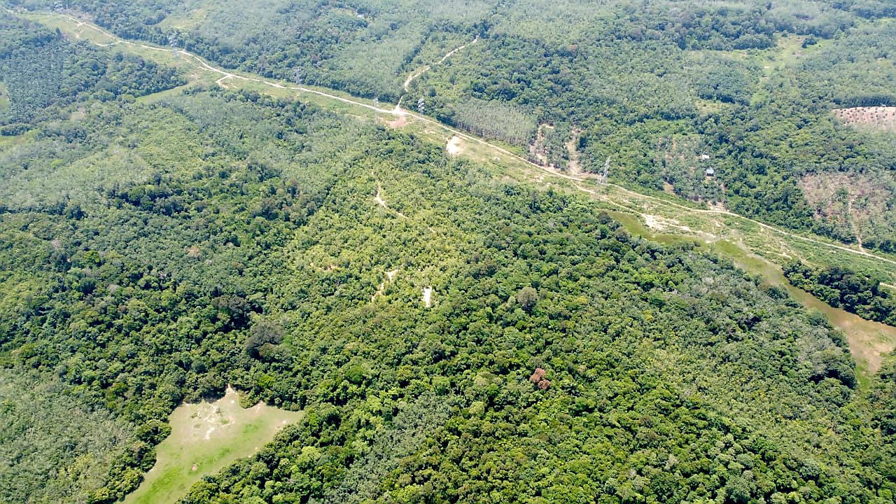 Tanah Pertanian 11 Ekar Bukit Lamir Lompa Temerloh - photo 8