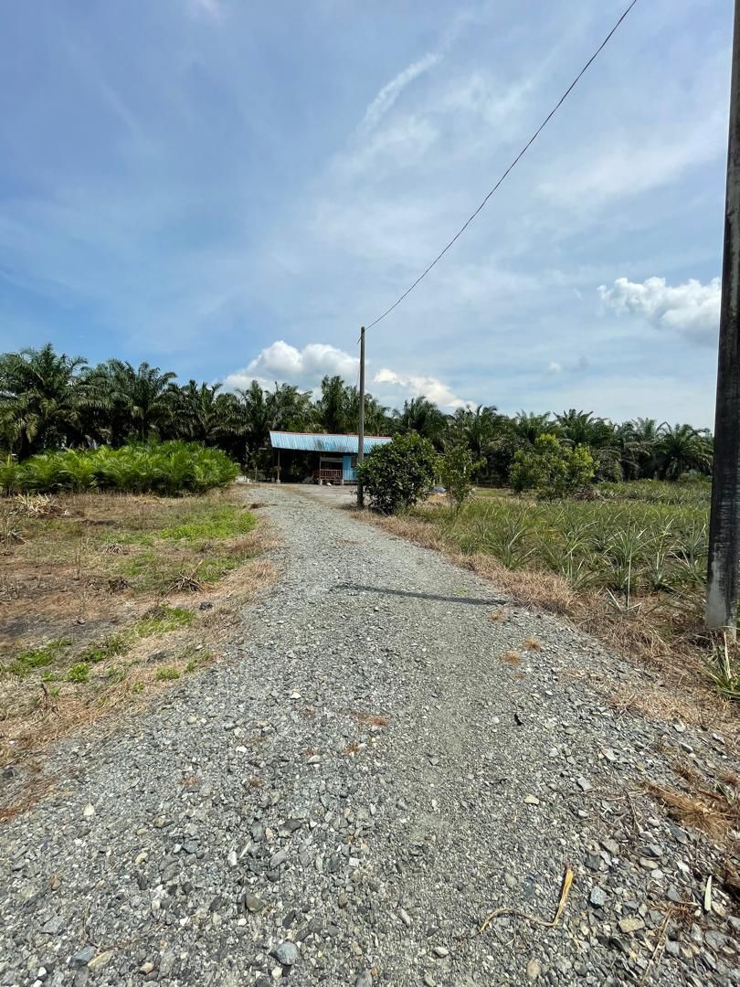 Tanah Kebun Sawit 2 Ekar Stenga Ayer Baloi Pontian - photo 2