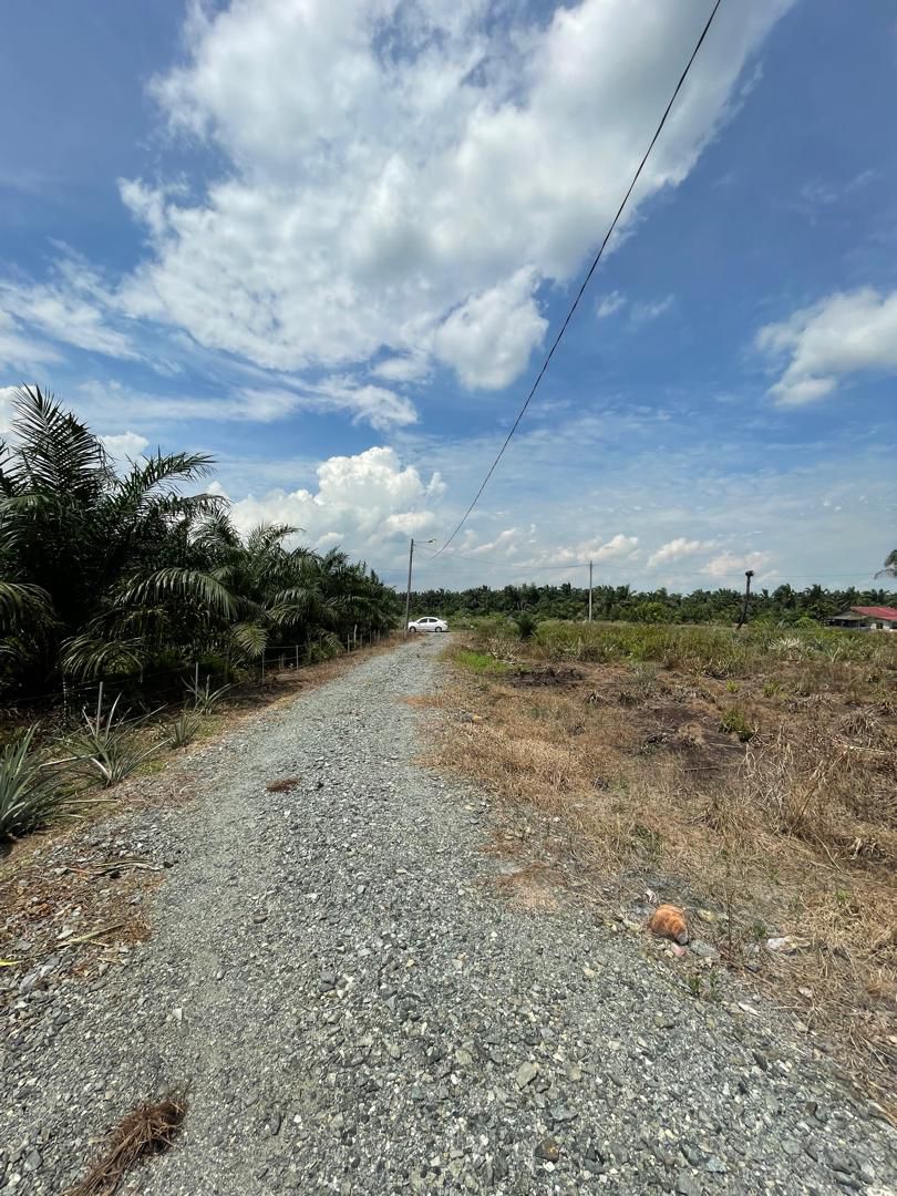 Tanah Kebun Sawit 2 Ekar Stenga Ayer Baloi Pontian - photo 3