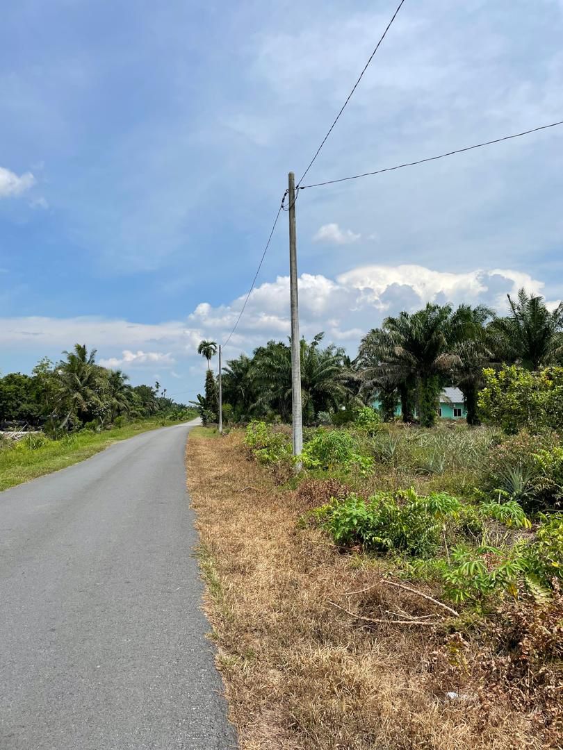 Tanah Kebun Sawit 2 Ekar Stenga Ayer Baloi Pontian - photo 10