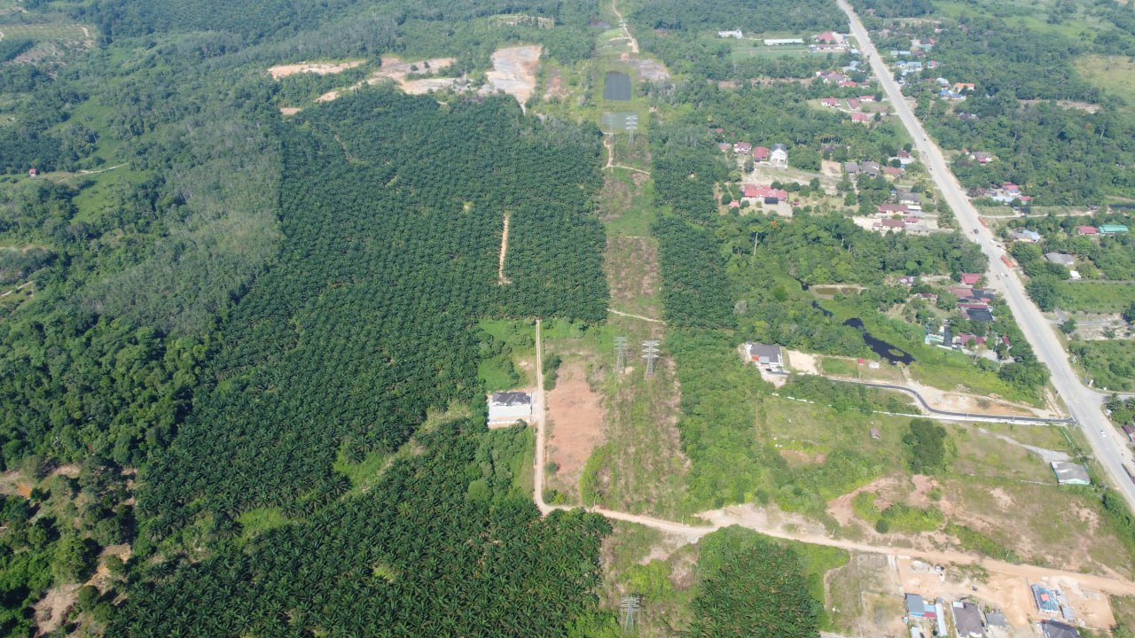 Tanah Pertanian 21 Ekar Utk Pelaburan di Mentakab - photo 2