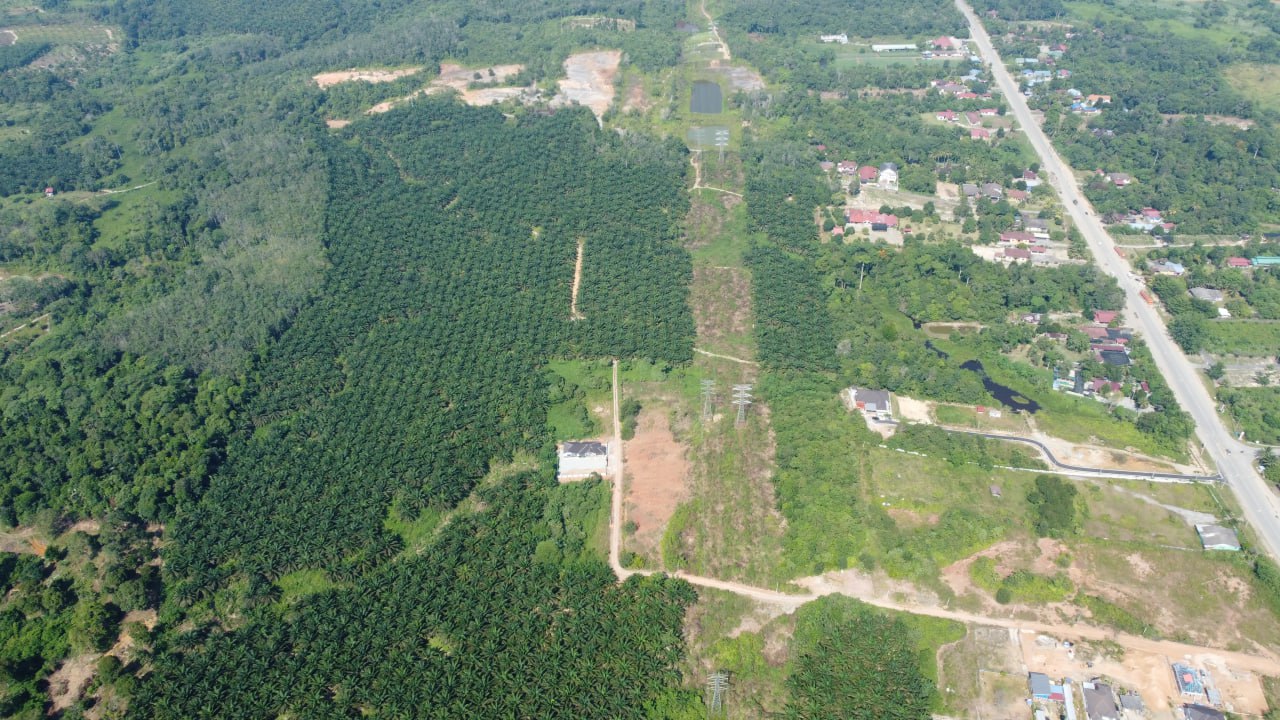 Tanah Pertanian 21 Ekar Utk Pelaburan di Mentakab - photo 4
