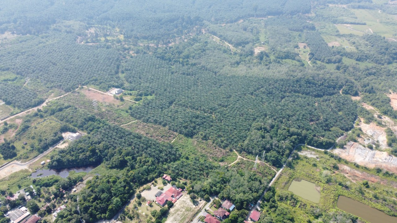 Tanah Pertanian 21 Ekar Utk Pelaburan di Mentakab - photo 6