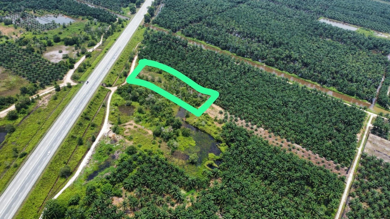 Tanah Pertanian 2 ekar di Parit Mahang Tepi Higway - photo 2