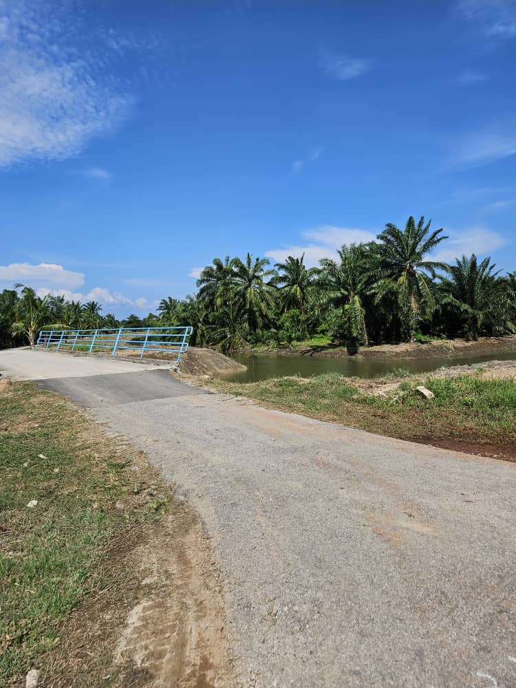 Agri Land Lucrative Palm Oil n Durian Farm in Muar - photo 8