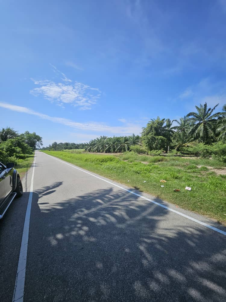 Agri Land Lucrative Palm Oil n Durian Farm in Muar - photo 10