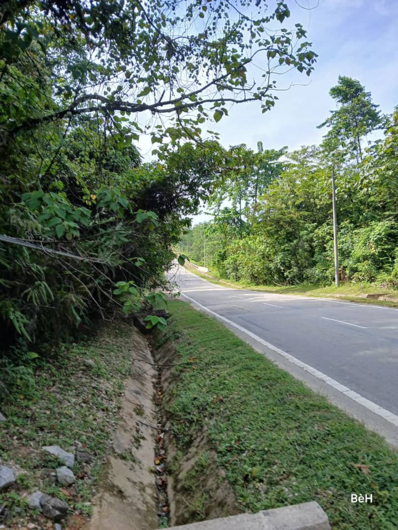 Tanah Tepi Jalan Gua Musang ke Cameron Highland - photo 6