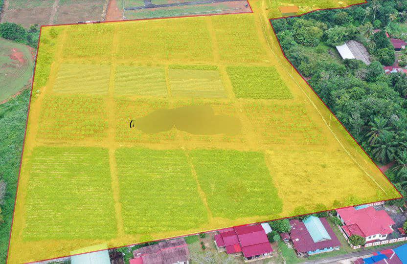 Tanah Zoning Kediaman Mukim Pinang Tunggal Kedah - photo 2