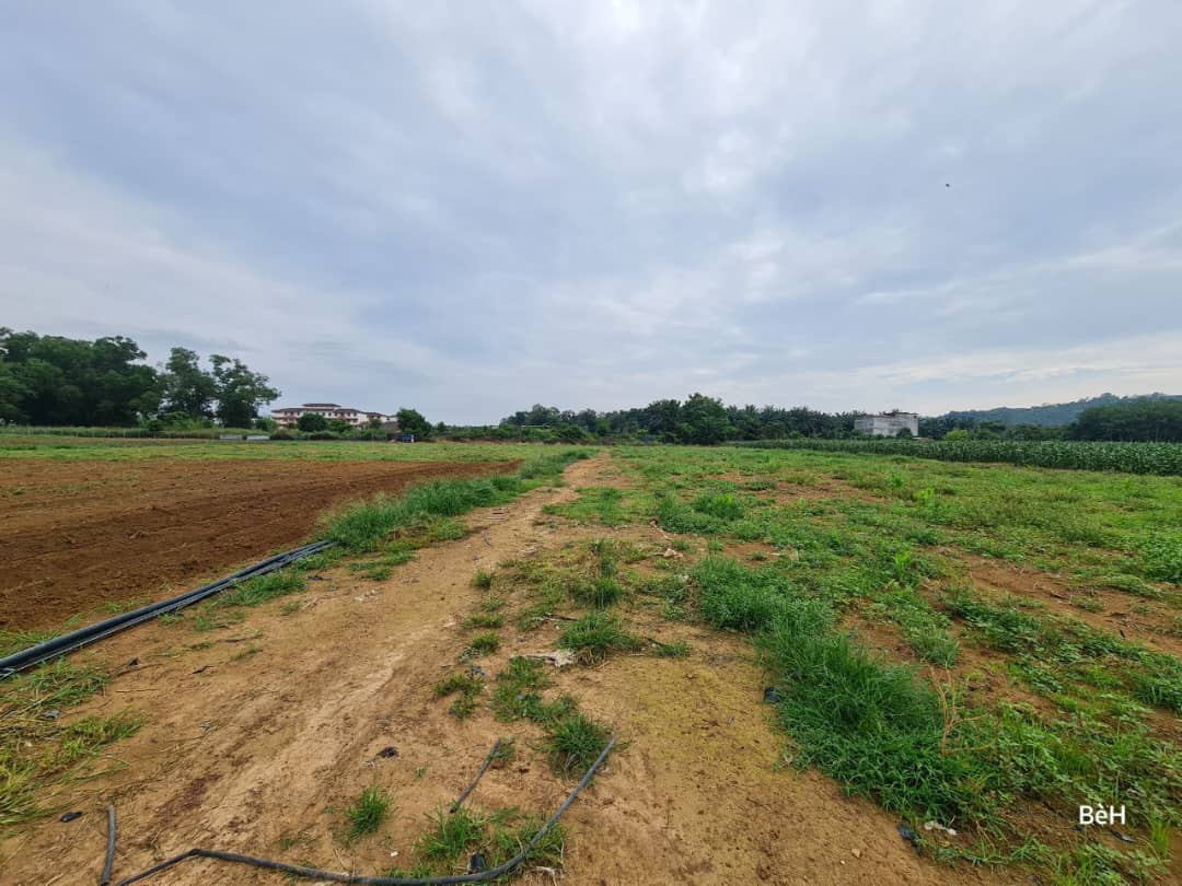 Tanah Zoning Kediaman Mukim Pinang Tunggal Kedah - photo 6