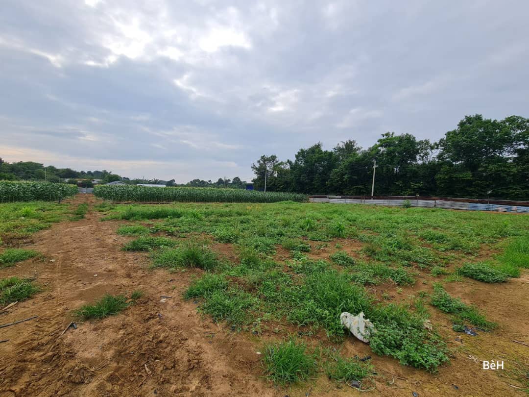 Tanah Zoning Kediaman Mukim Pinang Tunggal Kedah - photo 9