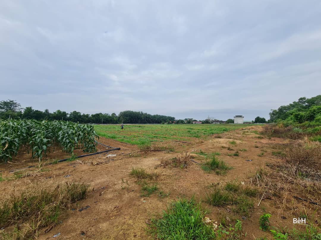 Tanah Zoning Kediaman Mukim Pinang Tunggal Kedah - photo 10