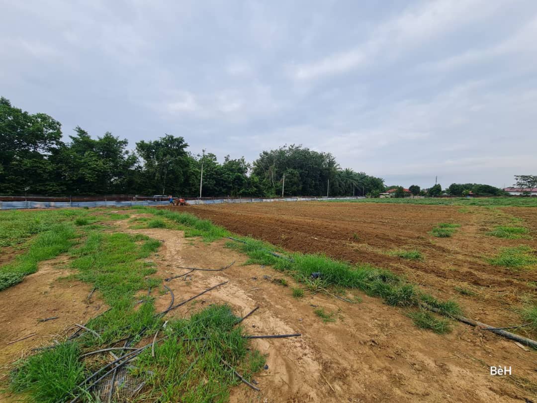 Tanah Zoning Kediaman Mukim Pinang Tunggal Kedah - photo 11