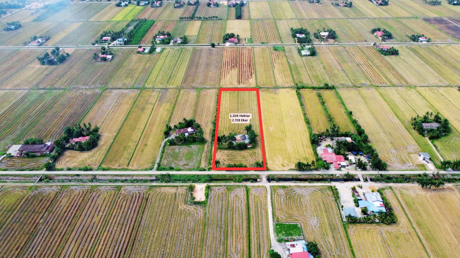 Tanah Sawah Beserta Rumah Sempadan Tanjong Karang - photo 3