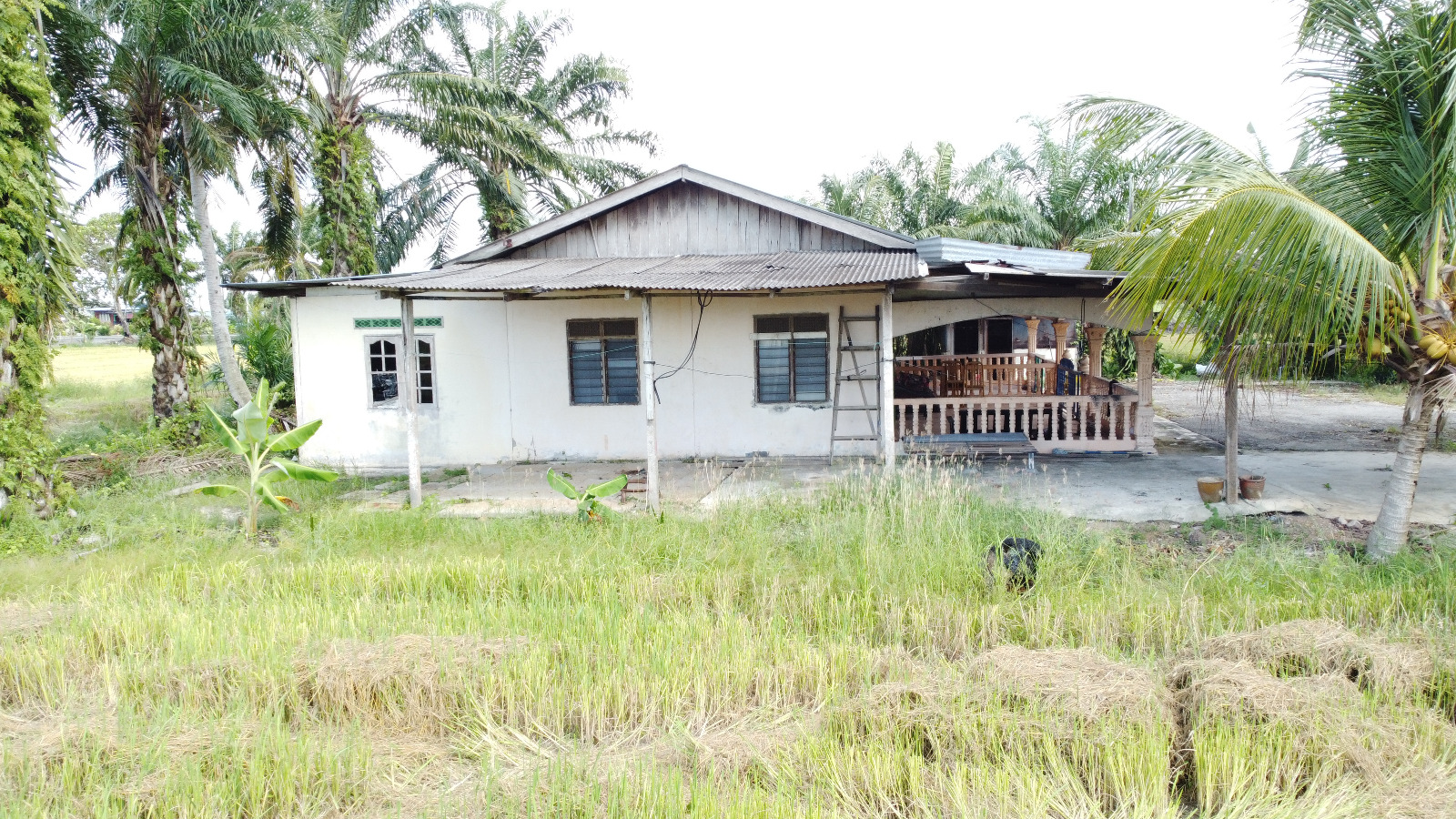 Tanah Sawah Beserta Rumah Sempadan Tanjong Karang - photo 7
