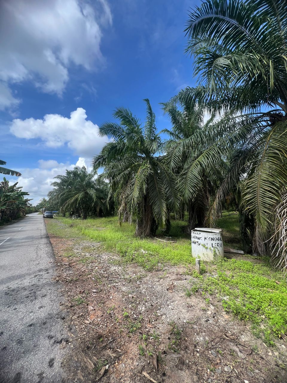 Tanah Kebun Sawit 5 Ekar di Sabak Bernam For Sale - photo 4