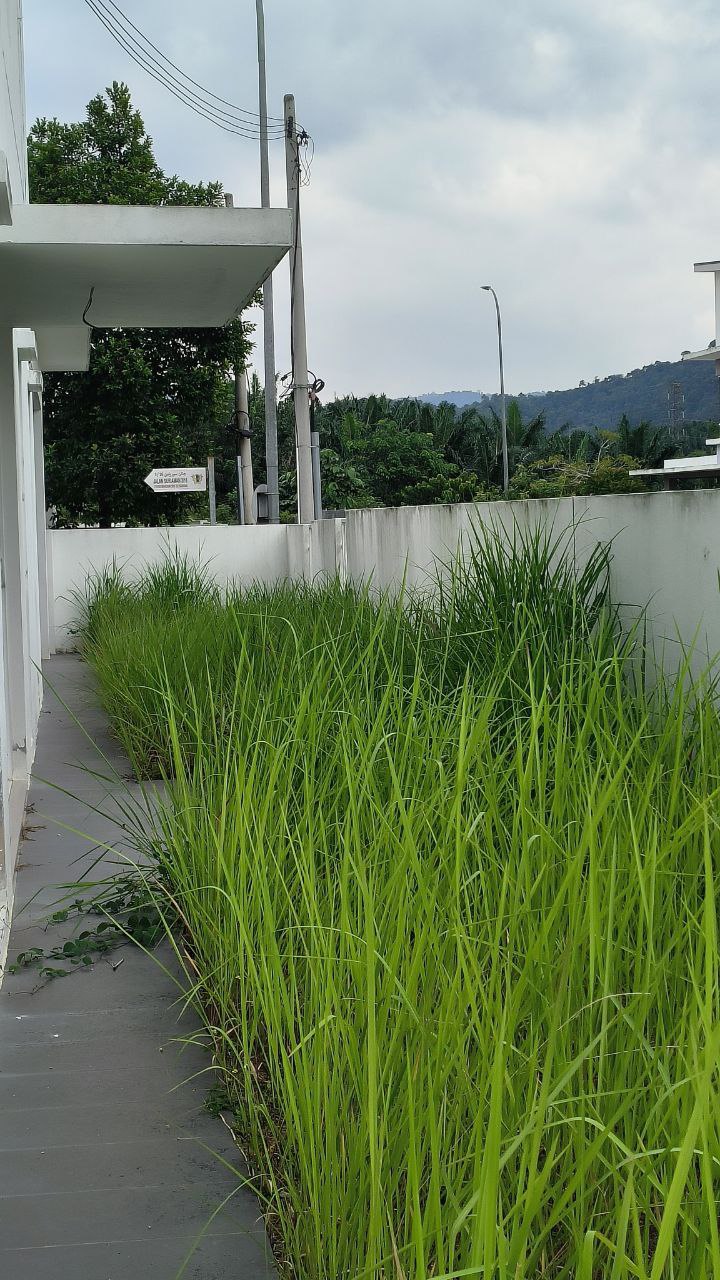 Double Storey Suriaman 3 for sale - photo 2