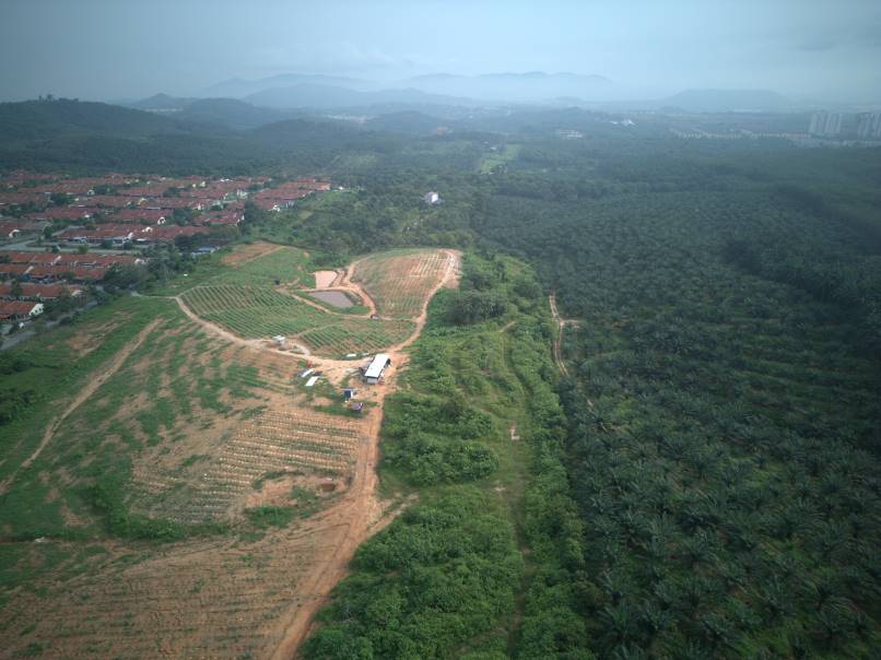 Tanah 18 Ekar Mukim Rasah untuk dijual - photo 4
