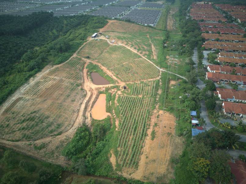 Tanah 18 Ekar Mukim Rasah untuk dijual - photo 6