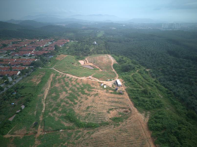 Tanah 18 Ekar Mukim Rasah untuk dijual - photo 7