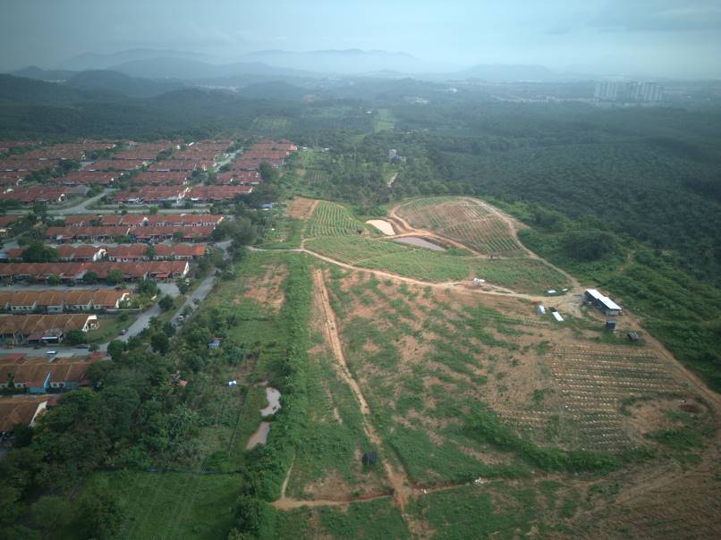 Tanah 18 Ekar Mukim Rasah untuk dijual - photo 8
