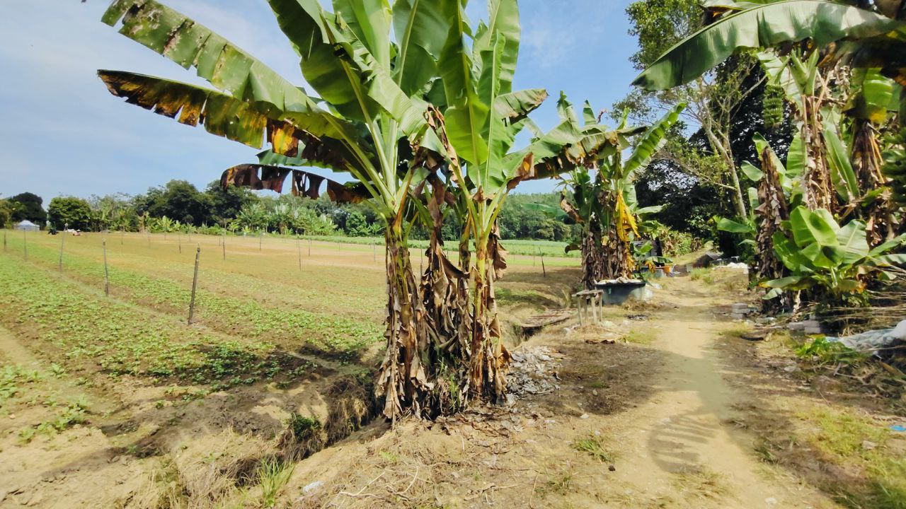 Tanah di Gadong Lama, untuk dijual - photo 9