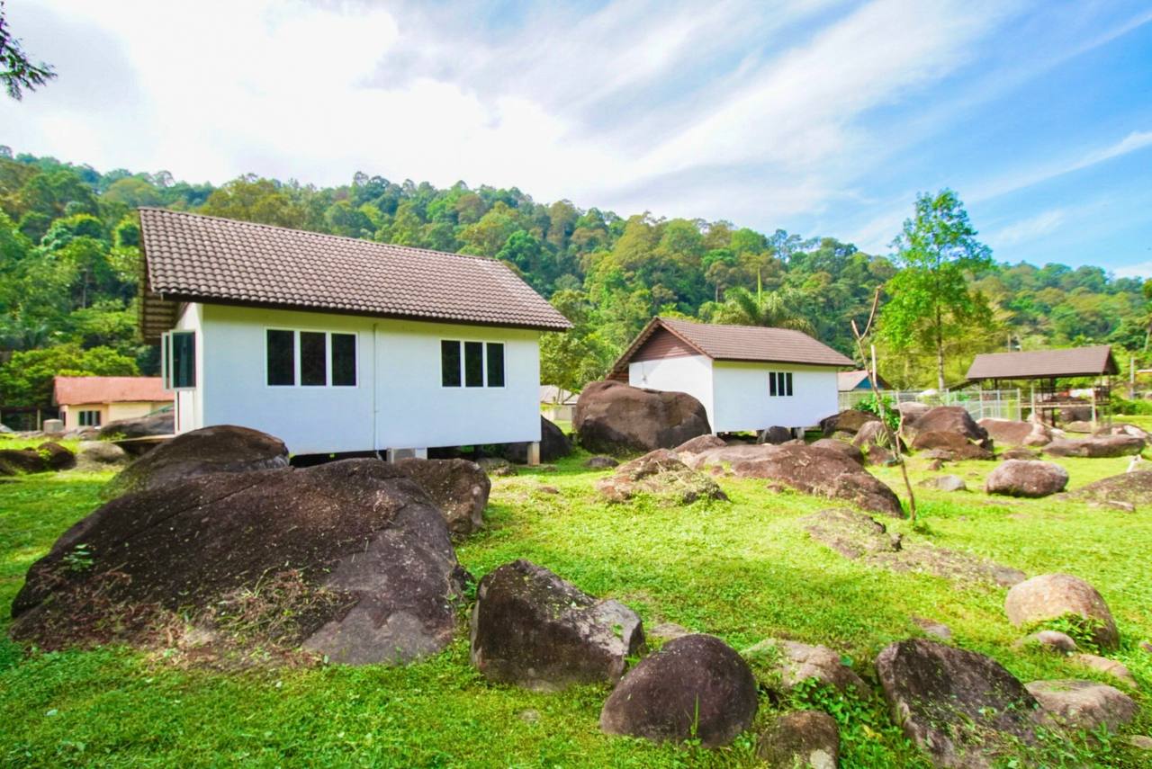 Agriculture Land Kampung Retreat Alang Ria - photo 5