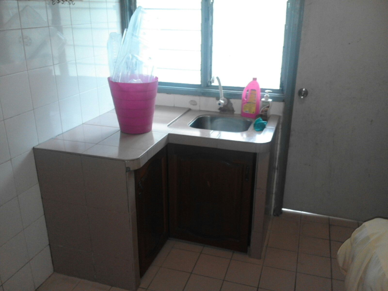 Single Storey Puncak Alam - photo 3