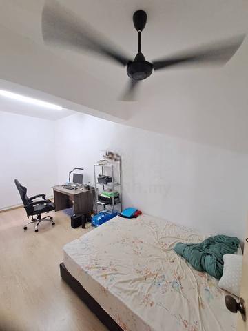 Halaman pulau tikus rm1500 feb 25 - photo 3