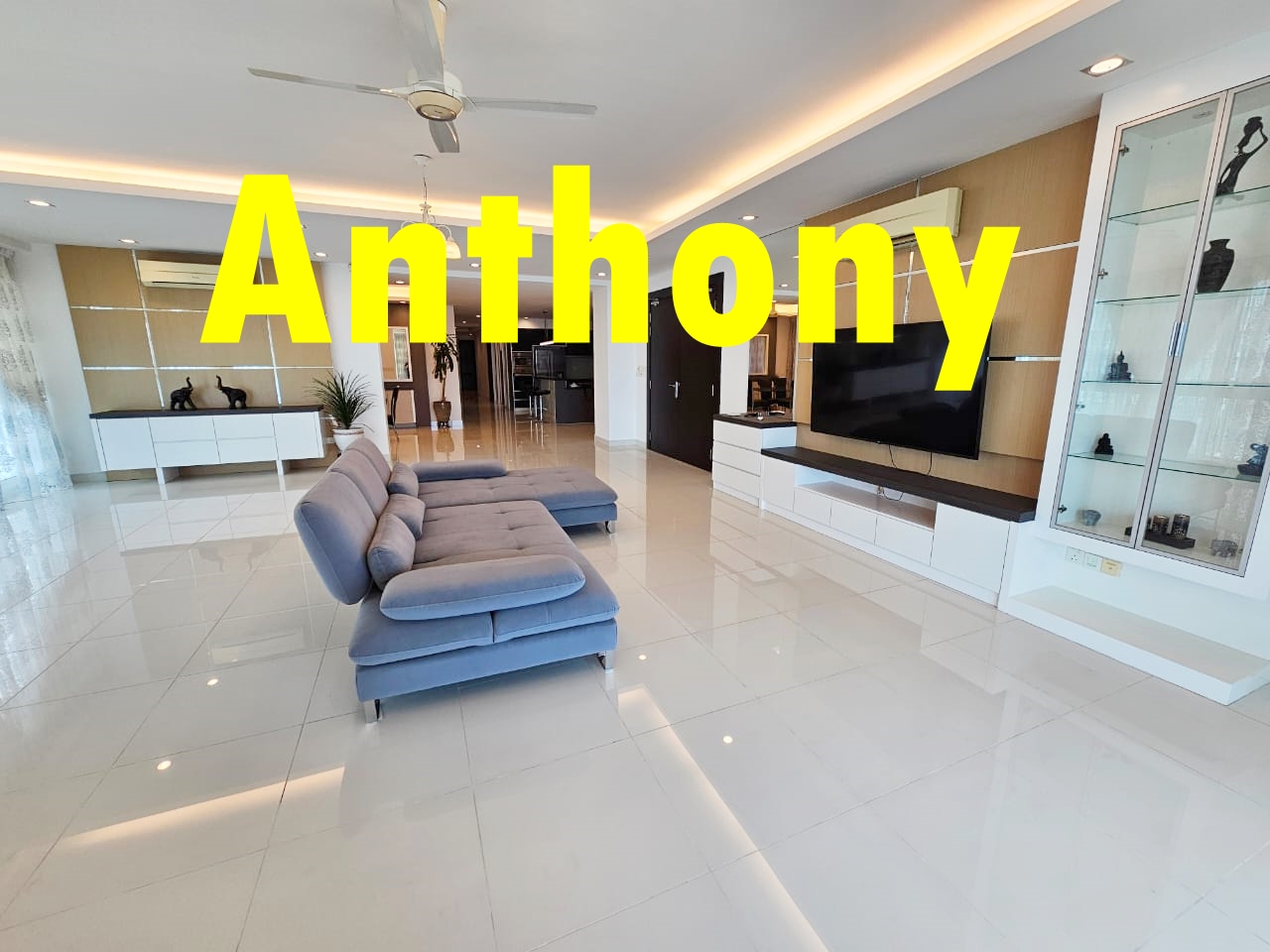 Gurney Paragon rm10k ...