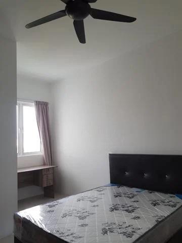 The clovers rm585k nov 25 - photo 3