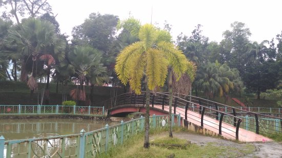 Taman Sri Andalas 22x75 Super Below Market Klang - photo 11