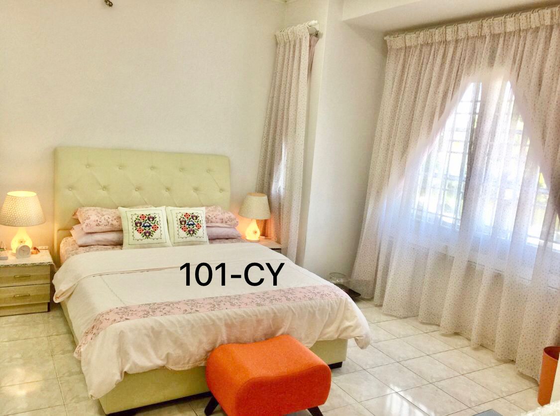 Fully Furnished Bukit Tinggi 20x70 Klang - photo 3