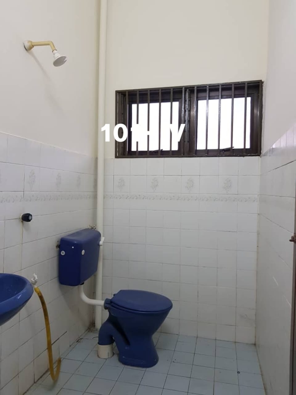 Taman Radzi - photo 8