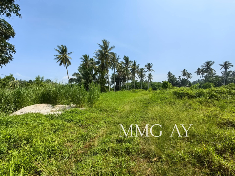 Jeram Agricultural Land MMG AV - photo 3