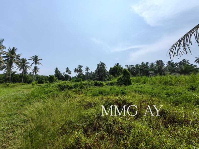 Jeram Agricultural Land MMG AV - photo 4