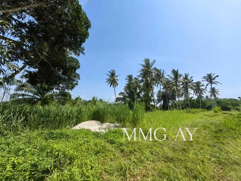 Jeram Agricultural Land MMG AV - photo 5
