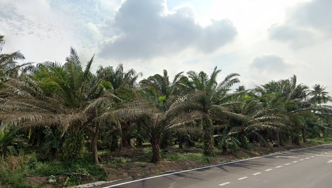 17acres Telok Panglima Garang Industrial Land - photo 2