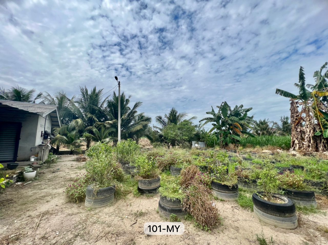 Kapar Klang, Batu 7 Agriculture Land - photo 2