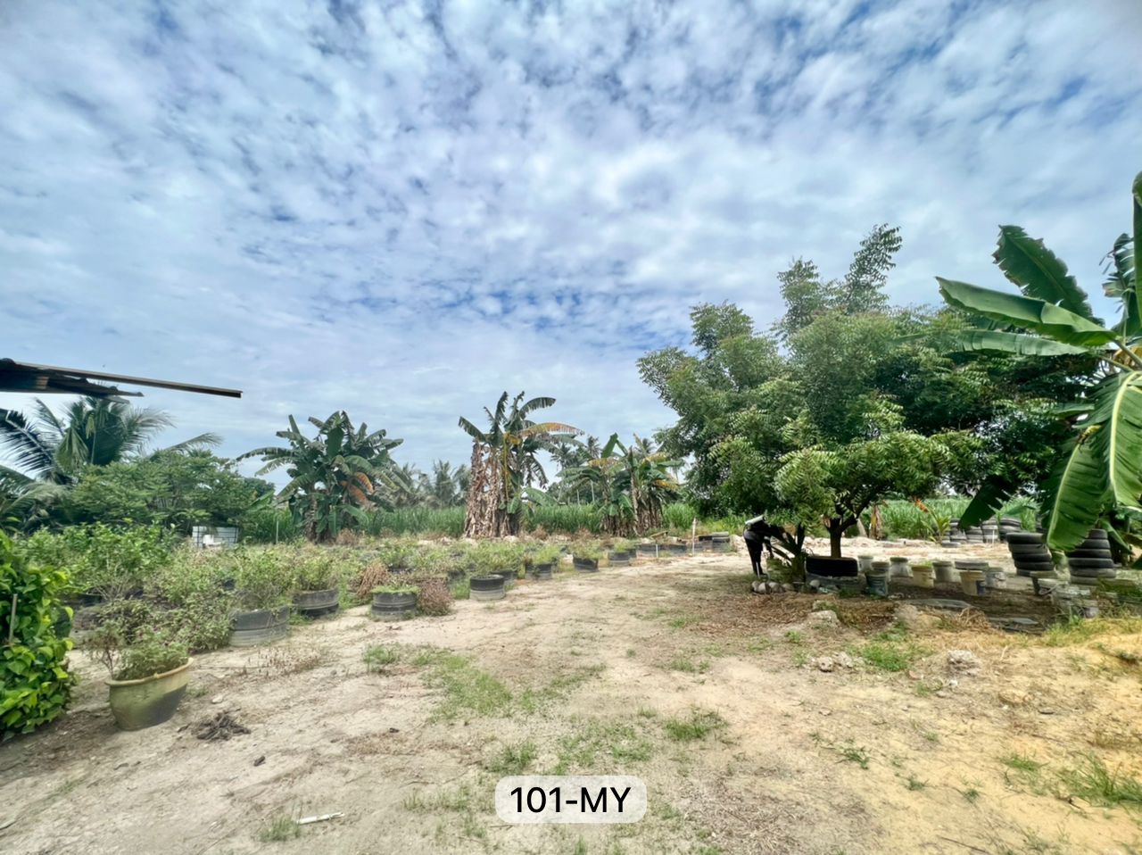 Kapar Klang, Batu 7 Agriculture Land - photo 3