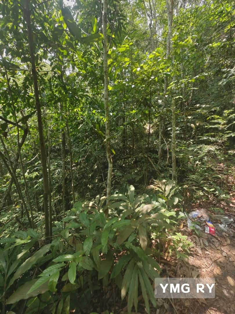 Broga Hills Land Freehold Hulu Langat - photo 2