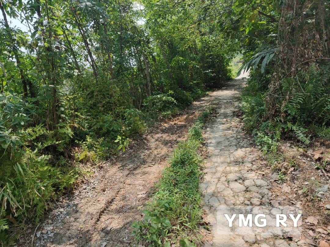 Broga Hills Land Freehold Hulu Langat - photo 3