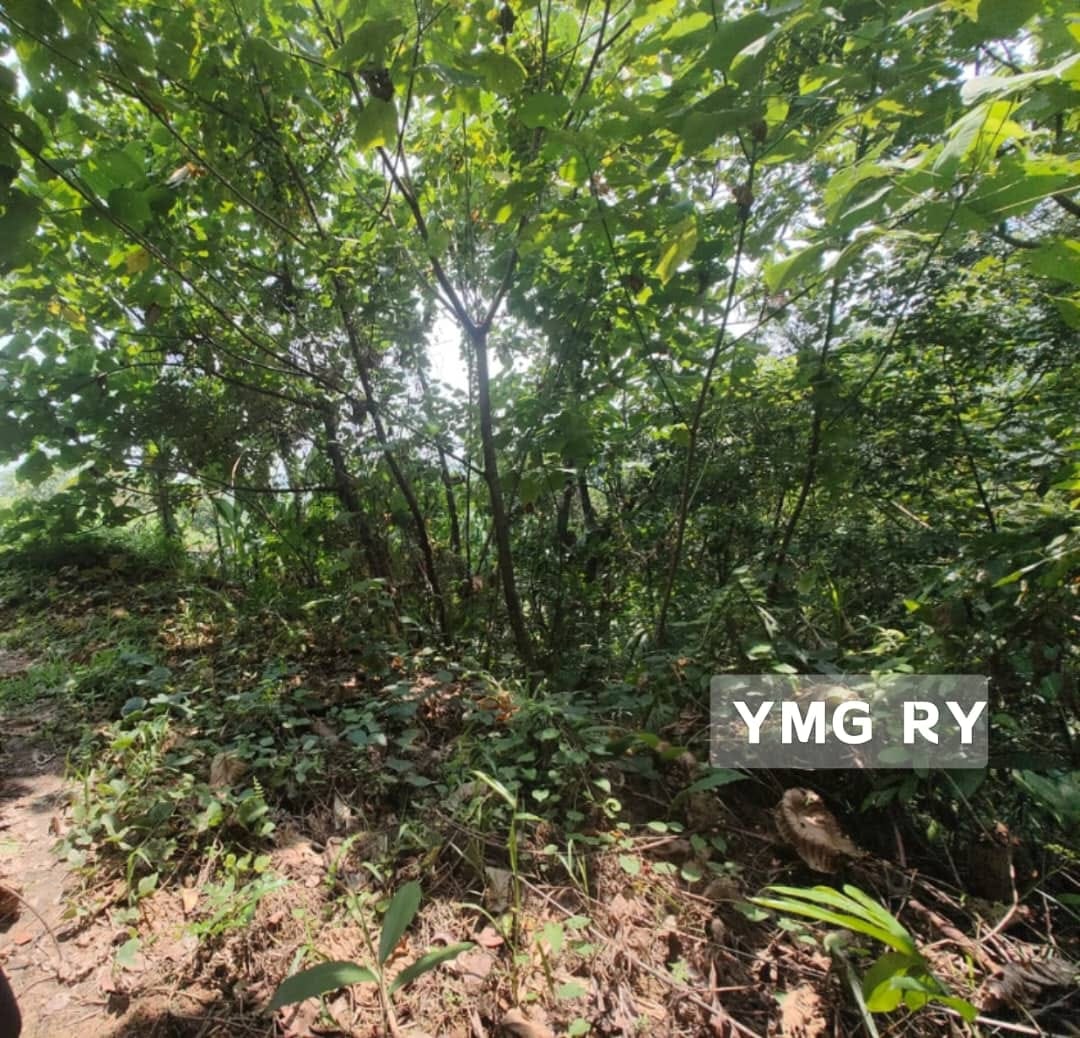 Broga Hills Land Freehold Hulu Langat - photo 4
