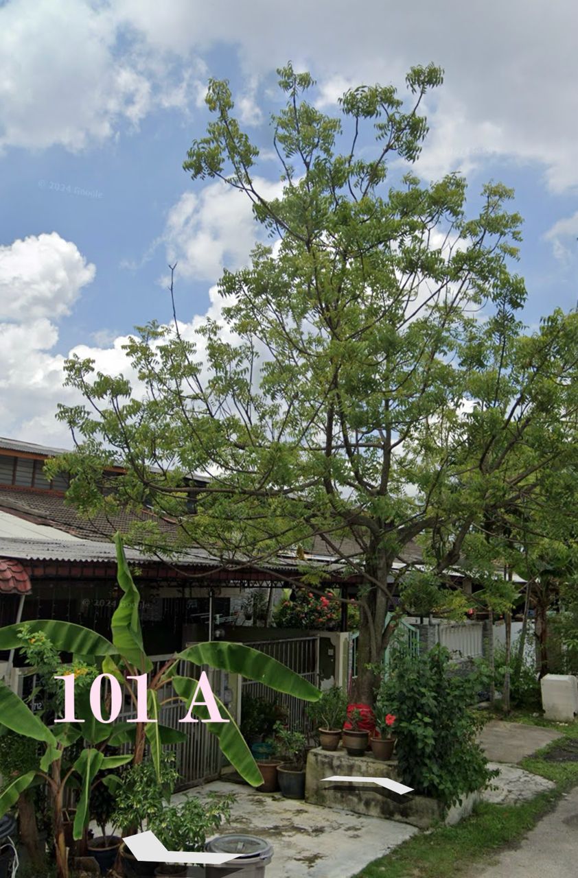 Taman Klang Jaya Single Storey House Klang - photo 4
