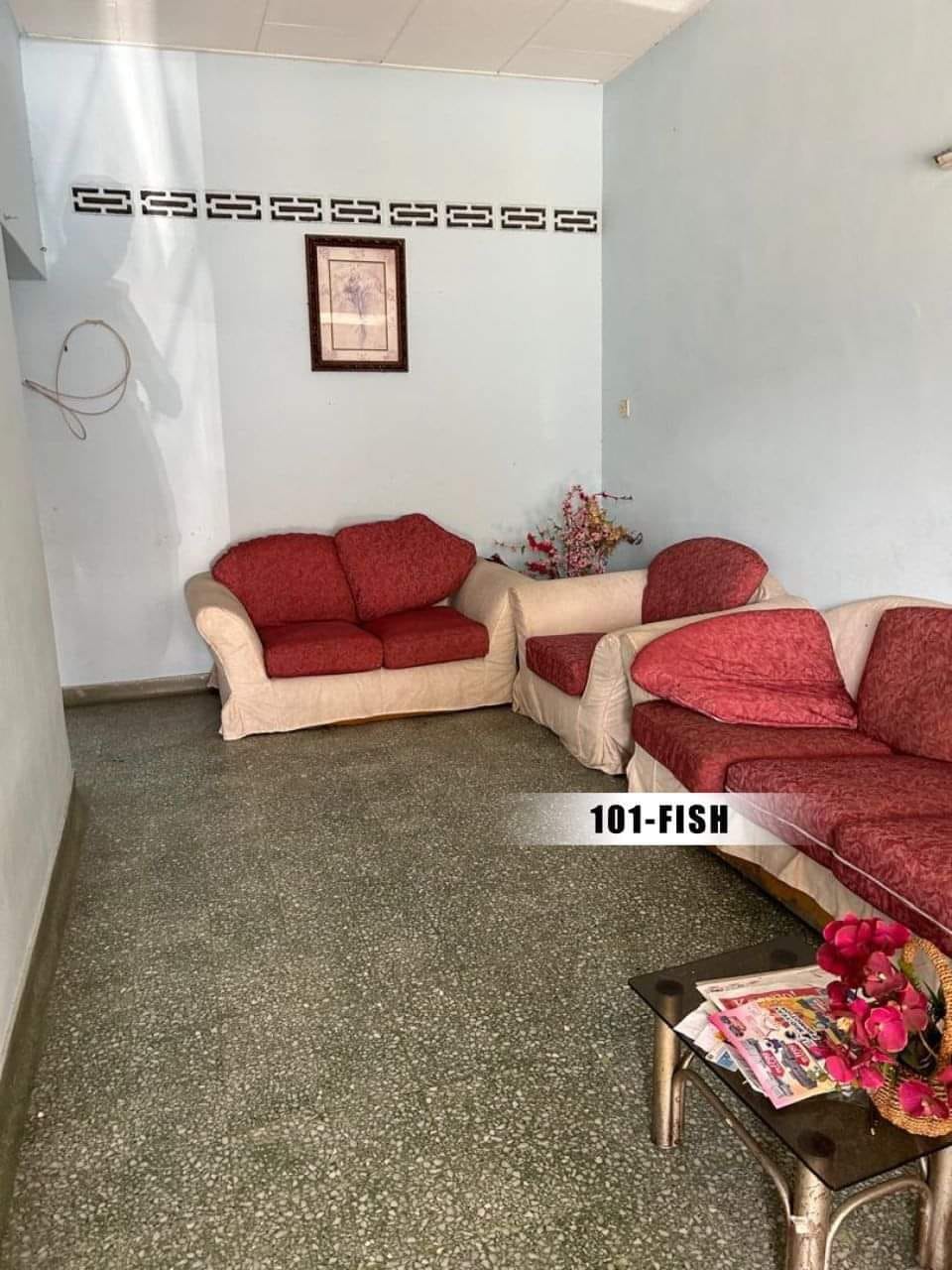 Teluk Pulai Single Storey House Klang - photo 9