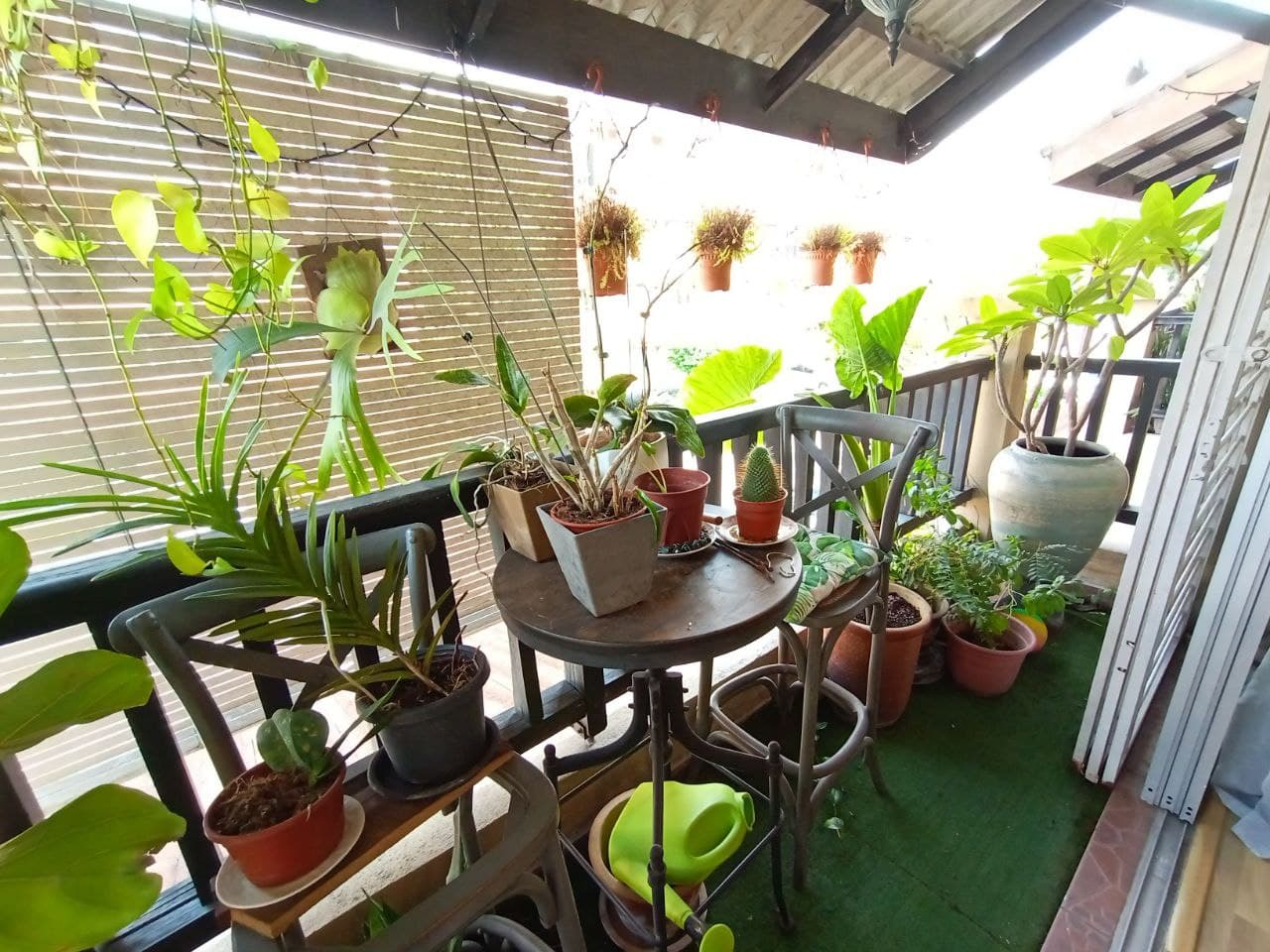 D Rimba Resort Apartment,Kota Damansara - photo 3