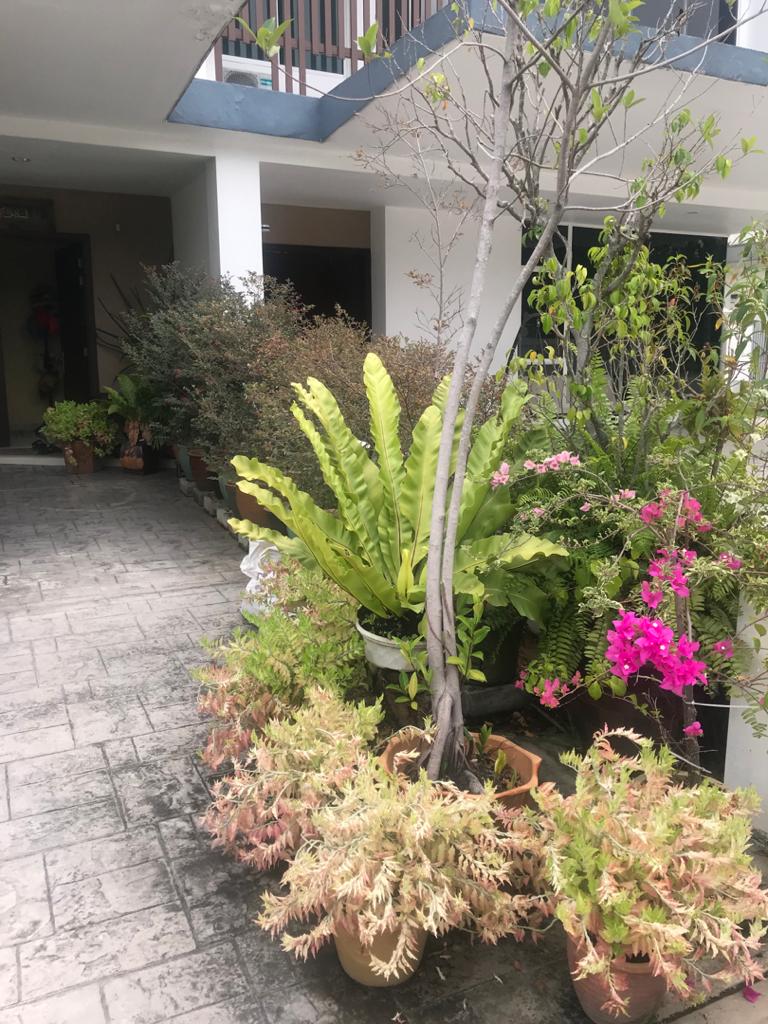 Semi D Double Storey House Fully Furnished - photo 13