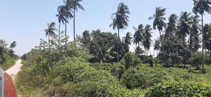 Facing Westport Industrial Zoning Pulau Indah - photo 3