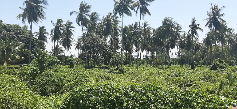 Facing Westport Industrial Zoning Pulau Indah - photo 7