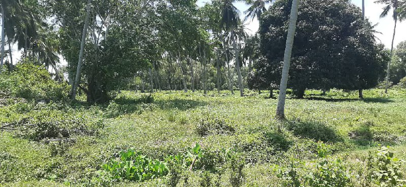 Facing Westport Industrial Zoning Pulau Indah - photo 8
