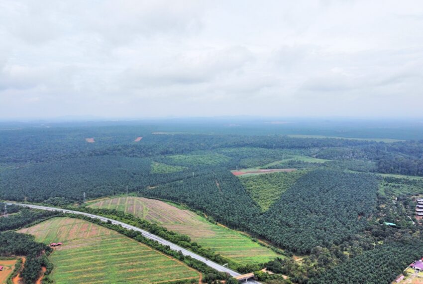 400 Acre Residential Land at Port Dickson - photo 3